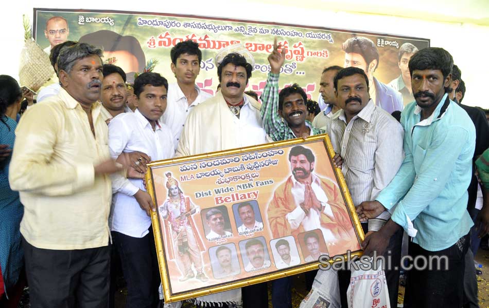 54th birthday celebrations of balayya - Sakshi17