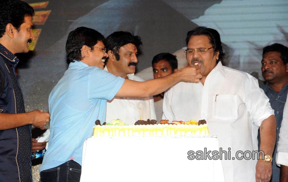 Legend 50 days successmeet - Sakshi12