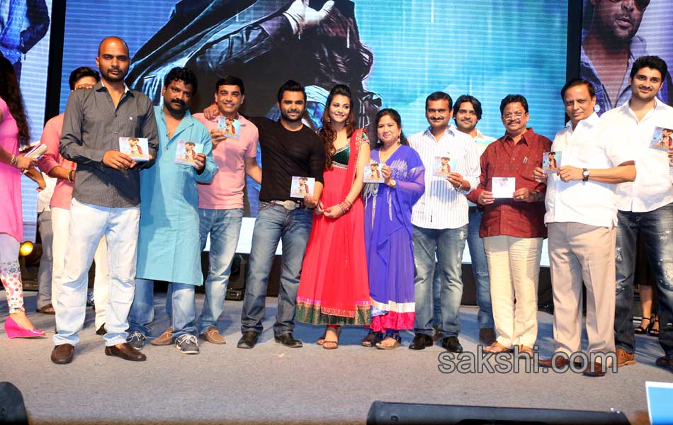 Nee Jathaga Nenundali Audio Launch - Sakshi7