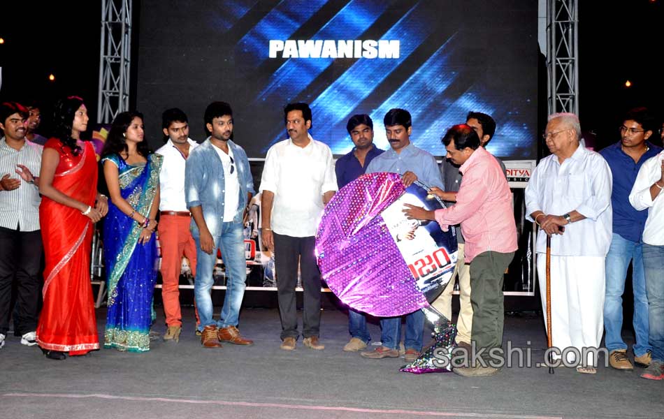 Pawanism Movie Audio Launch - Sakshi2