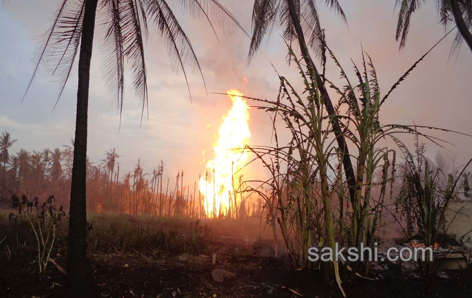 gail gas pipeline blast causes 16 deaths - Sakshi41