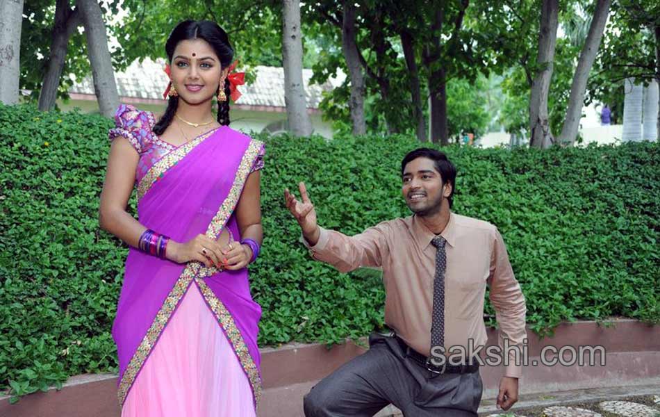 brother of bommalli movie stills - Sakshi14