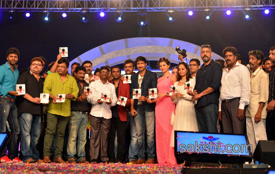 Loukyam Movie Audio Launch - Sakshi1