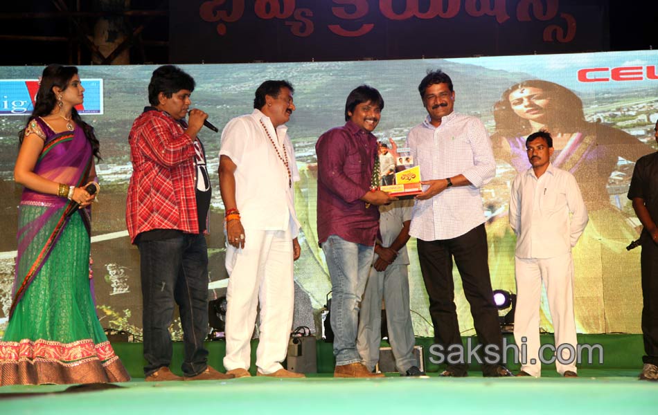 Loukyam Success Meet at Vizag8