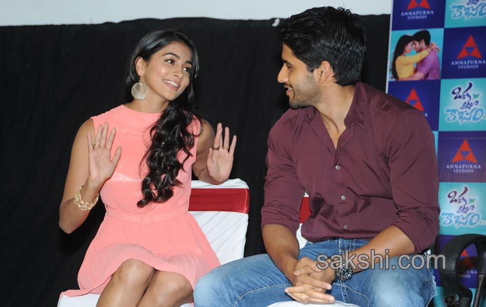 Oka Laila Kosam press meet1