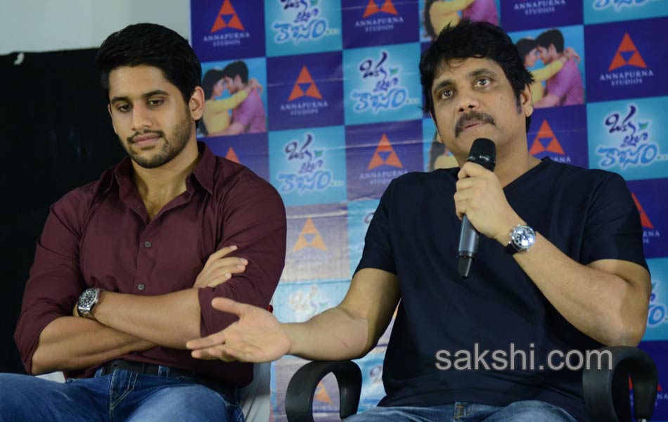 Oka Laila Kosam press meet6