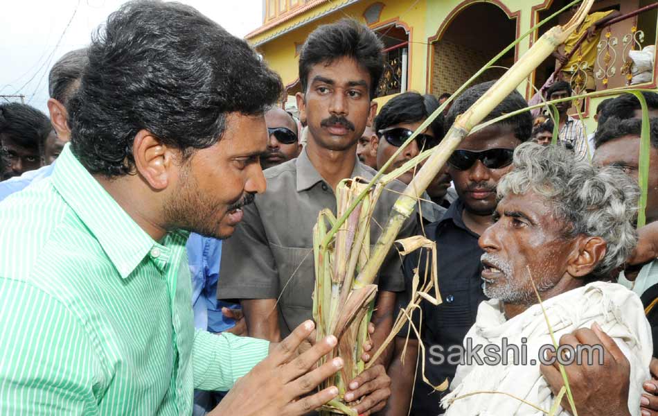 Y S jagan mohan reddy  to tour cyclone affected areas - Sakshi4