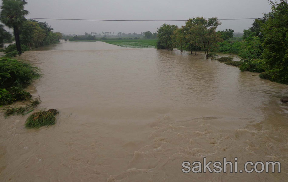 Heavy rains in guntur district - Sakshi1