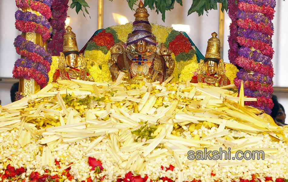 pushpa yagam at tirumala5