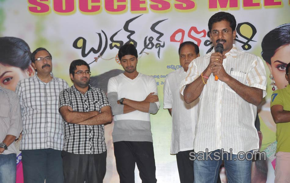 Brother Of Bommali Success Meet7