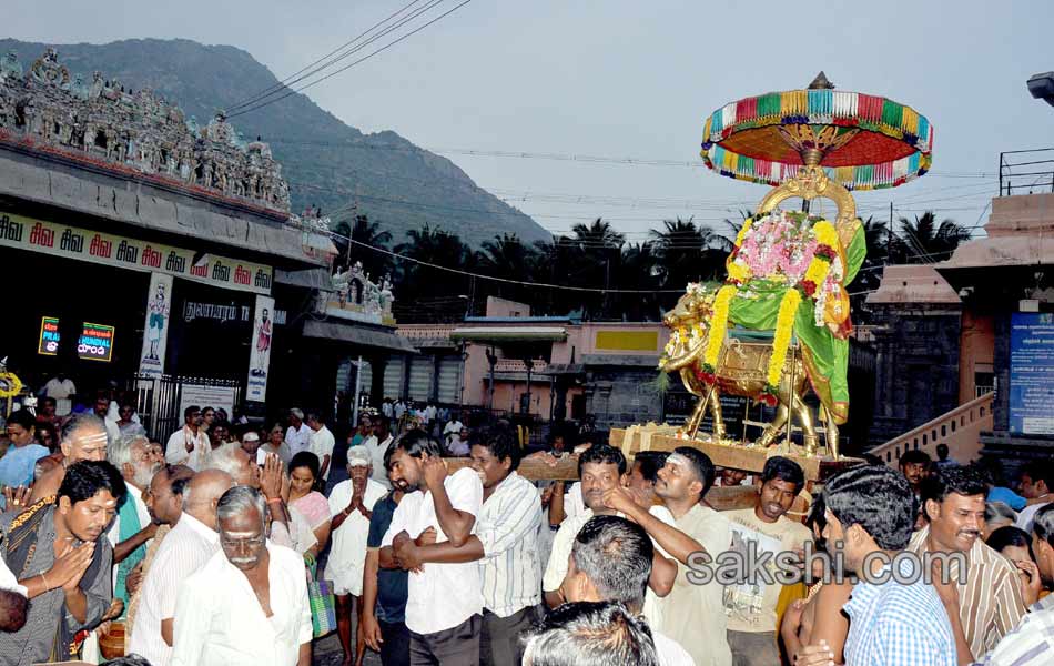 Tiruchanur Brahmotsavam8