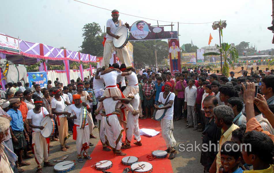 flamingo festival in Nellore district6