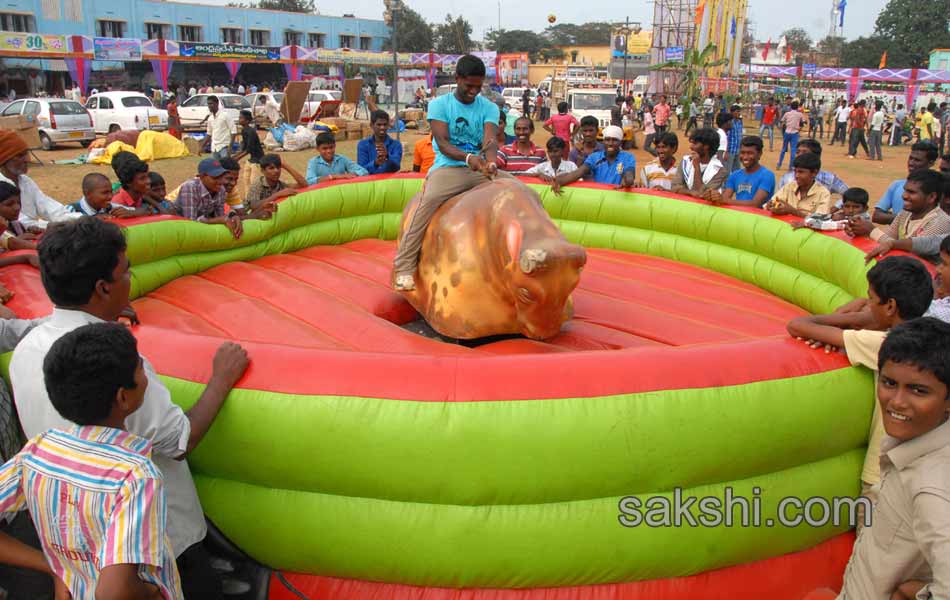 flamingo festival in Nellore district12