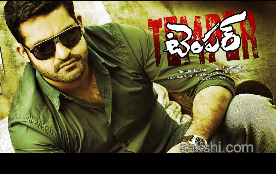 NTR Temper Movie Stills - Sakshi16