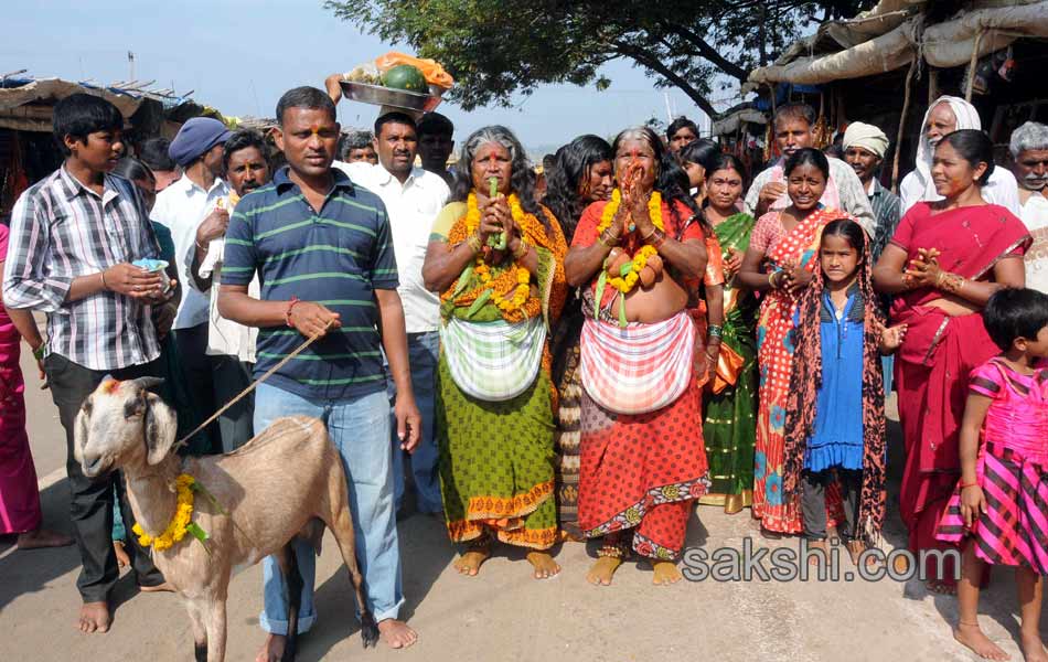 sammakka saralamma mini jathara in Medaram4