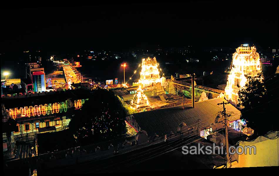 Temples decorated for Maha Shivaratri - Sakshi15