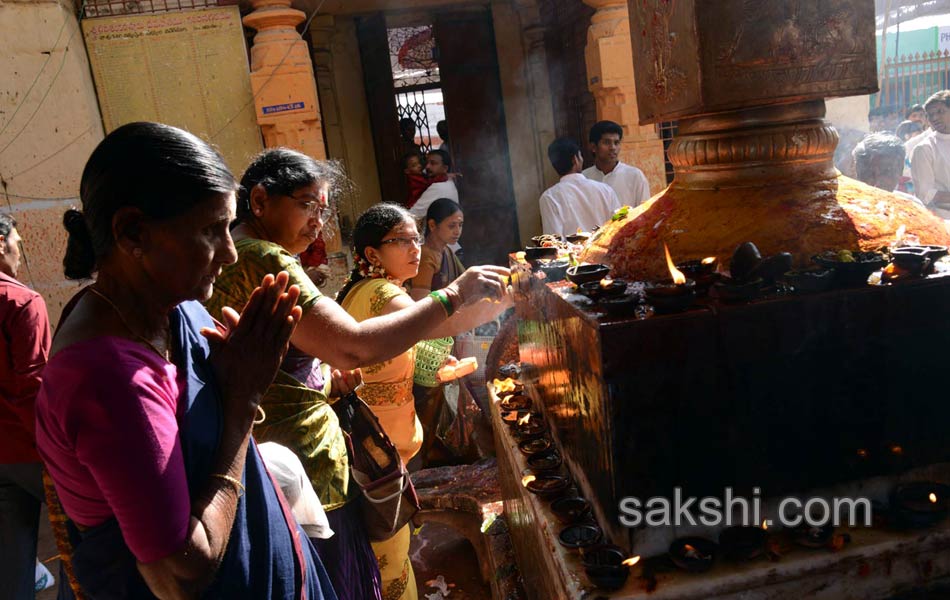 maha shivaratri festival in andhra pradesh - Sakshi25