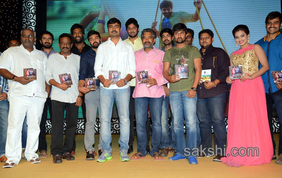 Tungabhadra Movie Audio Launch1