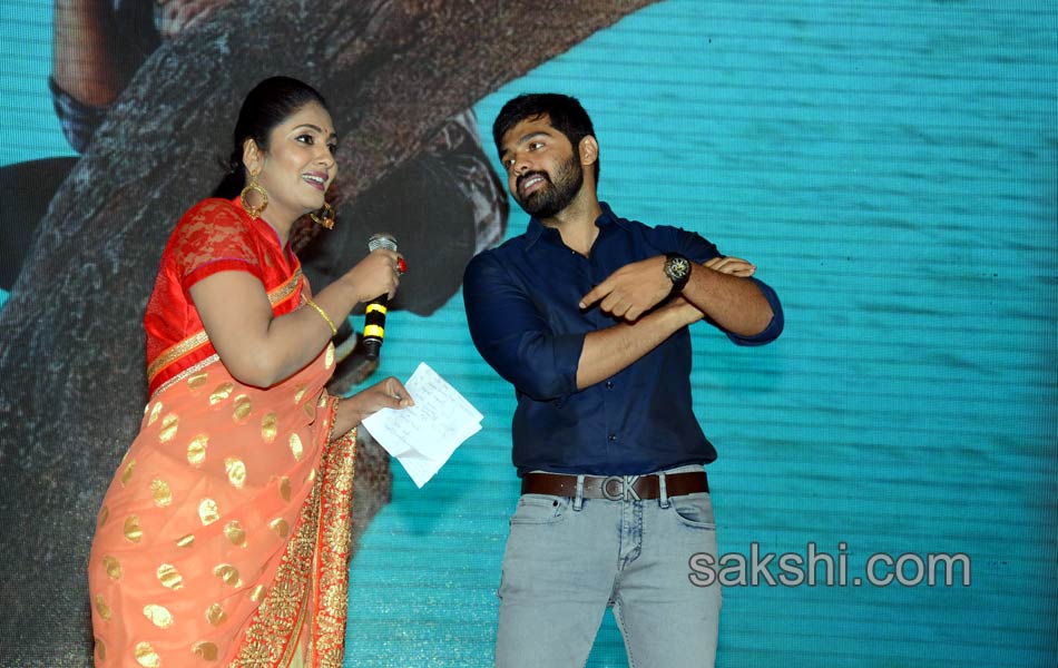 Tungabhadra Movie Audio Launch6