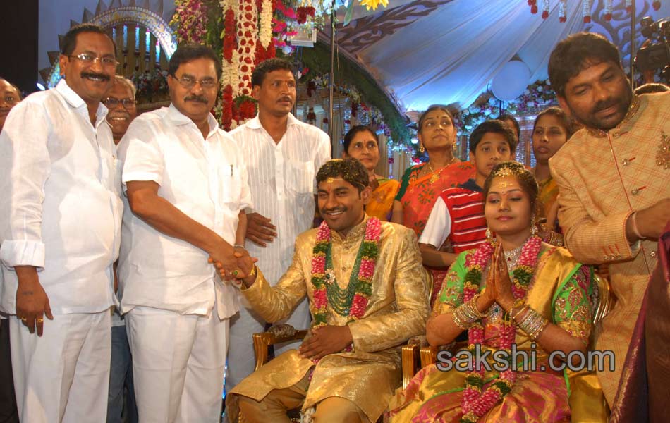 Kotam Reddy Sridhar Reddy daughter marriage - Sakshi7