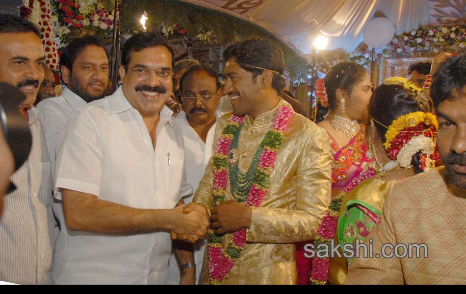 Kotam Reddy Sridhar Reddy daughter marriage - Sakshi10