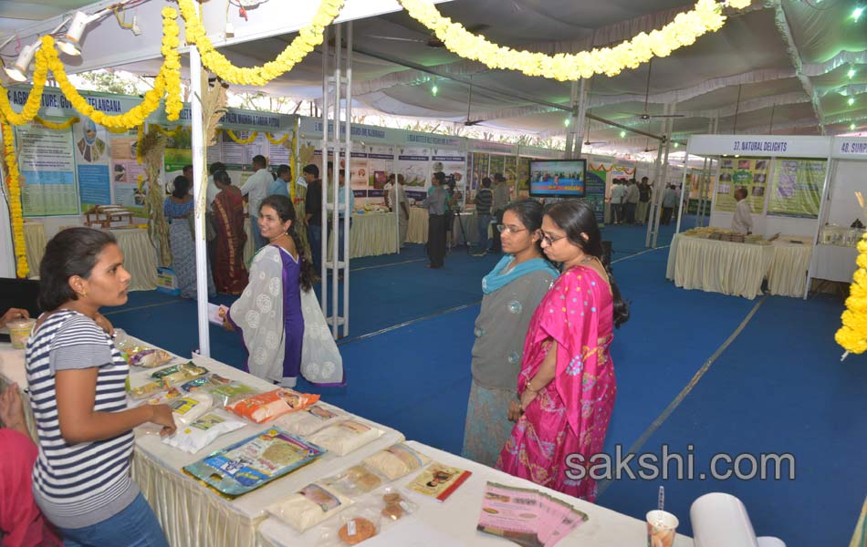 millet fest - Sakshi2