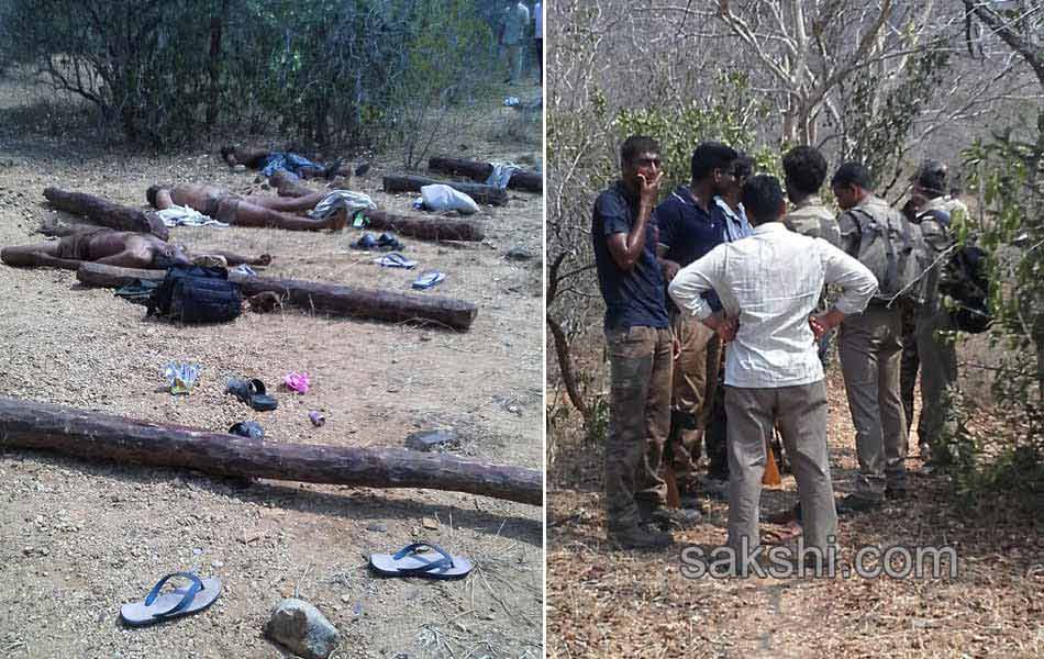 sandalwood smugglers encouter in chittoor - Sakshi3