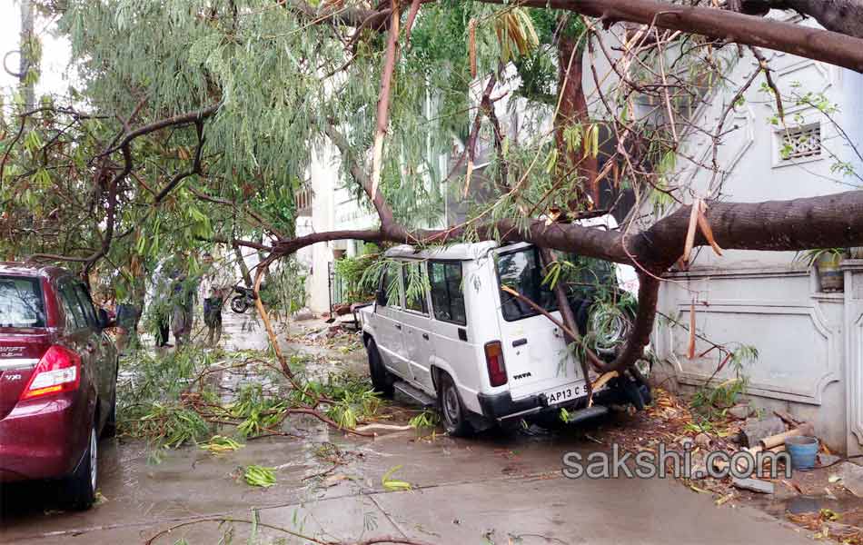 gusty winds wrecking9