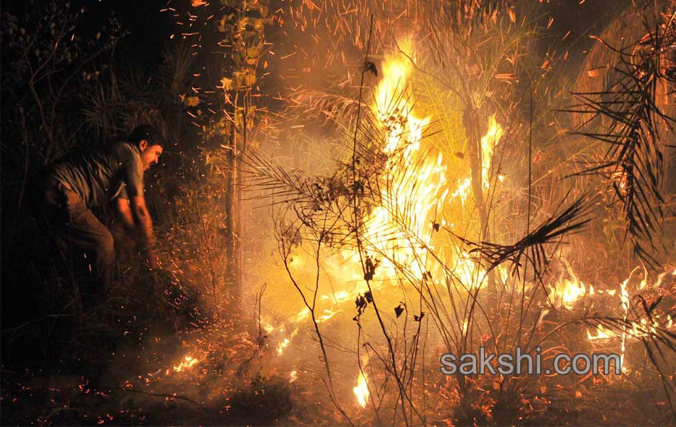 fire accidnet Tirumala Forest7