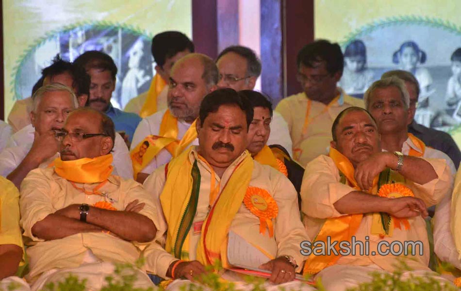 Telugu desam mahanadu - Sakshi10