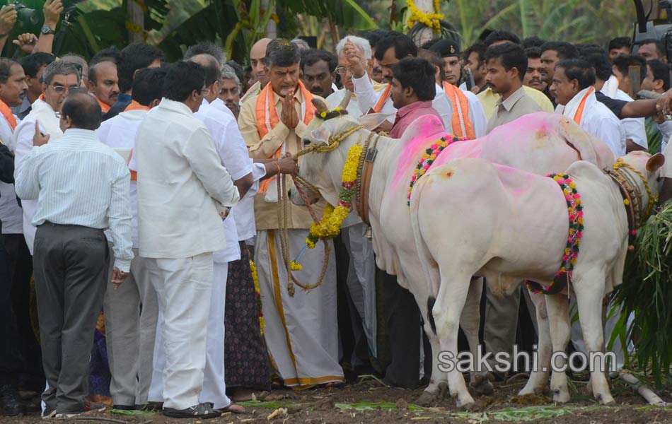 Bhumi puja In AP - Sakshi10