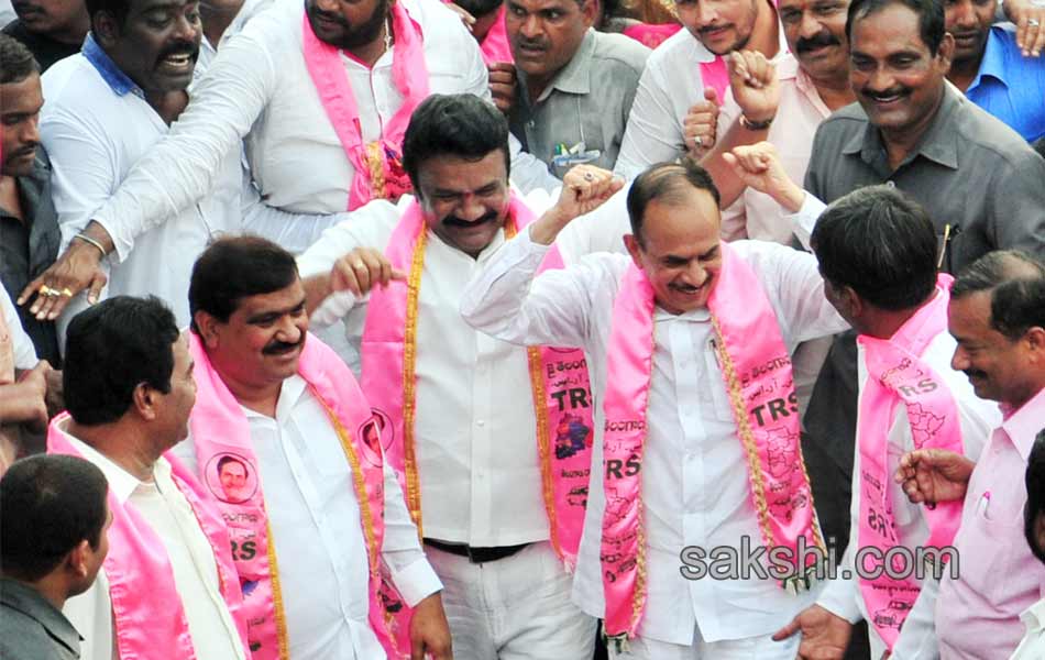 Telangana State formation celebrations - Sakshi11