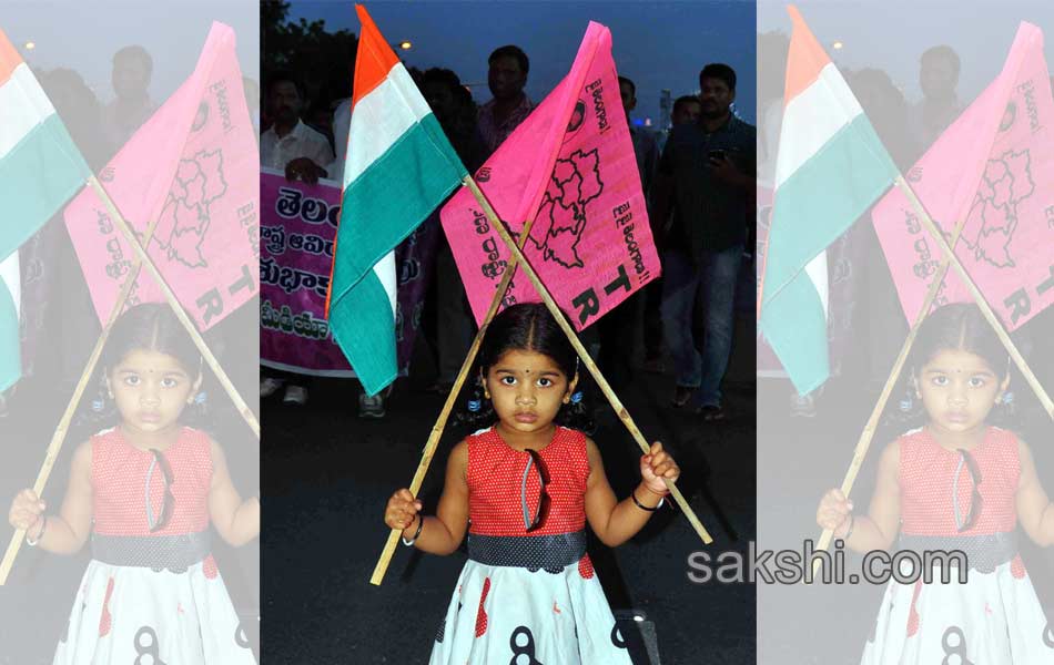 Telangana State formation celebrations - Sakshi16