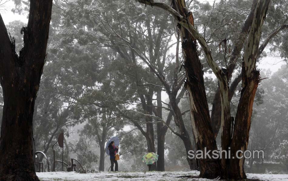 snow fall in New south wales2