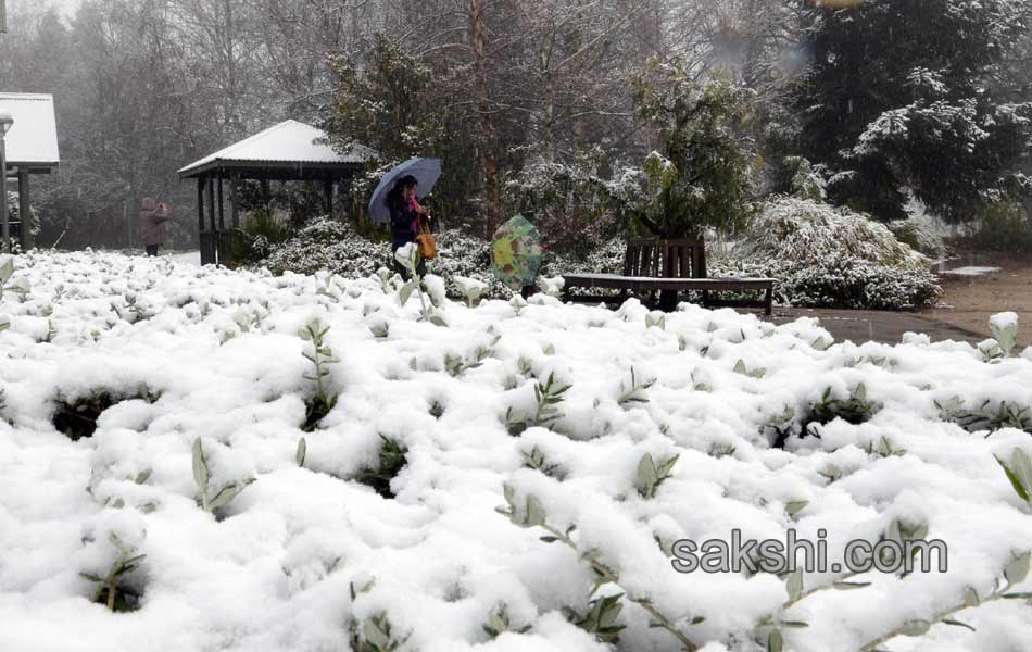 snow fall in New south wales4