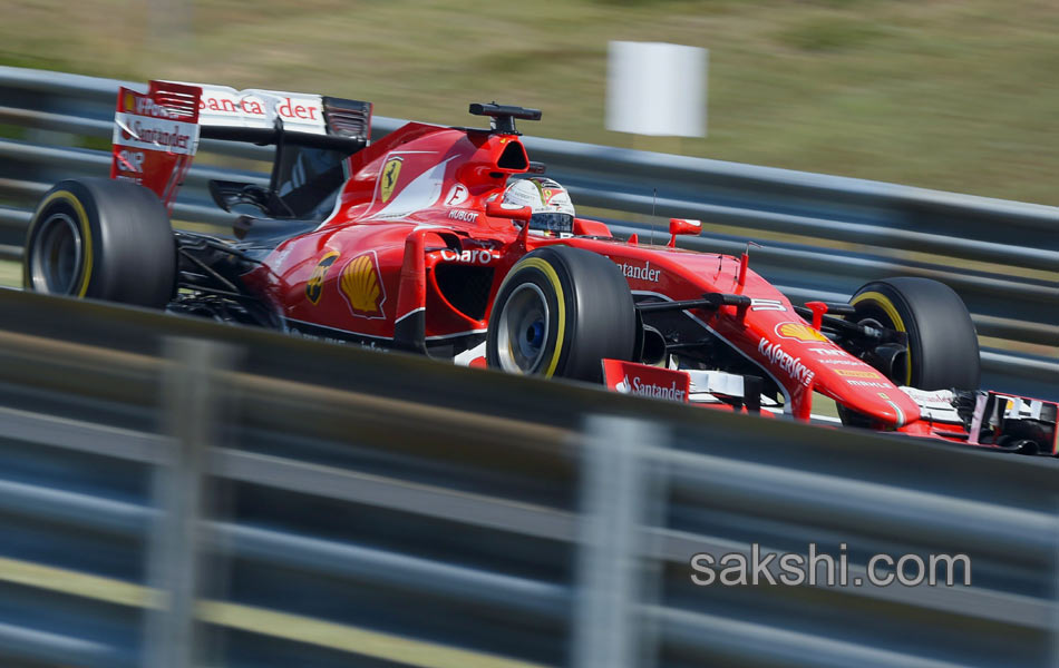 Sebastian Vettel won Hungarian Formula One13