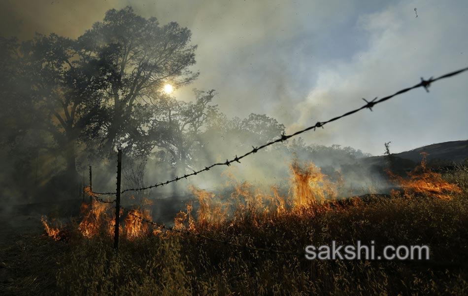 California Wildfires5