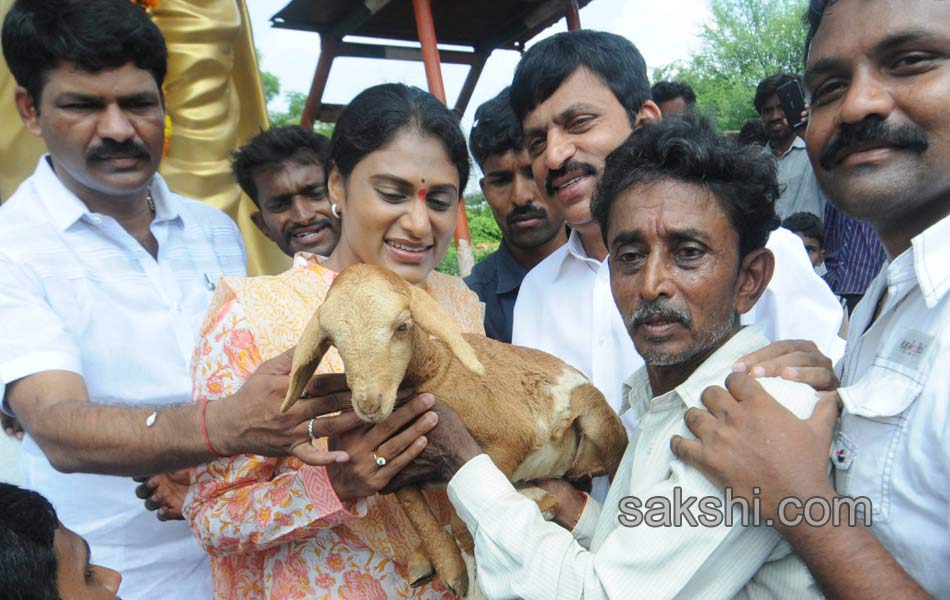 ys sharmila 3rd day paramarsha yatra in warangal distirict16