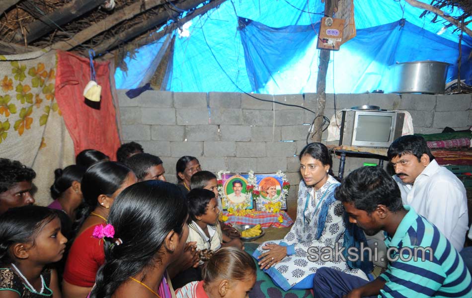 ys sharmila 3rd day paramarsha yatra in warangal distirict20