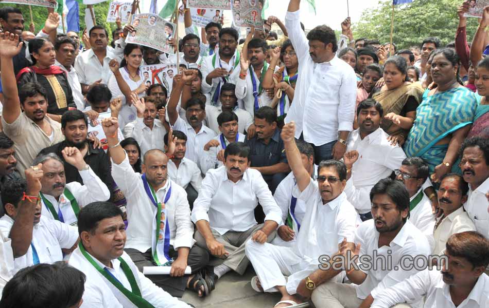 YSR congress dharna - Sakshi7