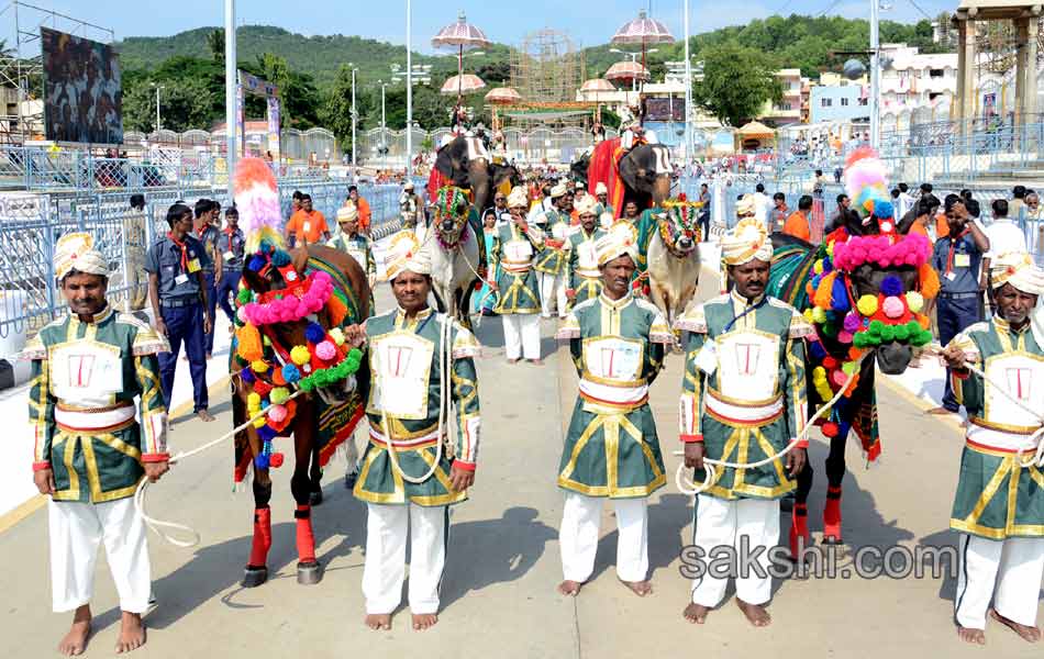 brahmotsavam in tirupati9