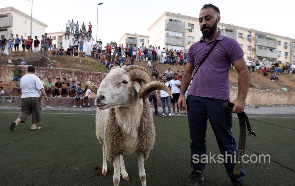 Eid al Adha festival - Sakshi3