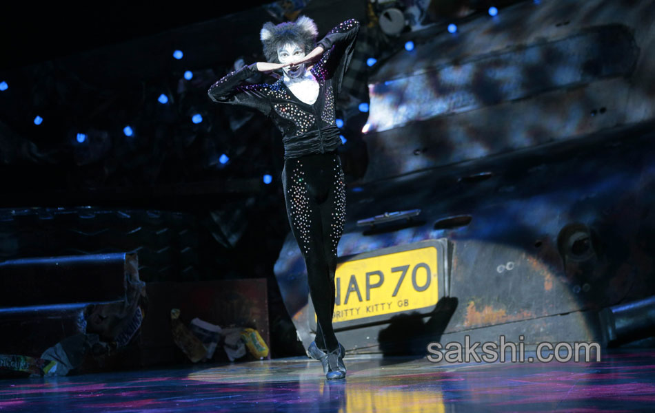 Paris musical Cats5