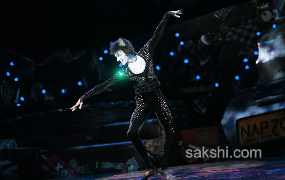 Paris musical Cats13