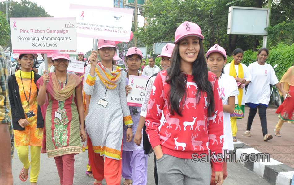 Pink Ribbon Walk7