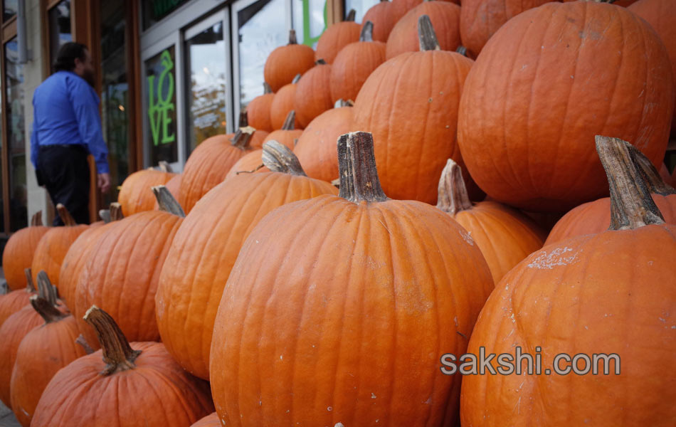 pumpkin weighing12