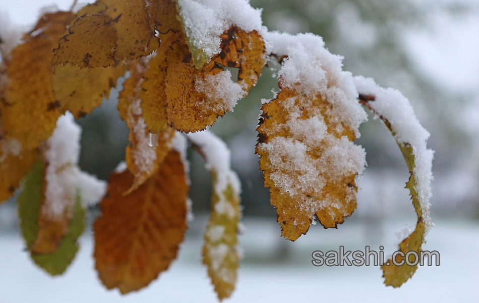 Snow fall in germany9