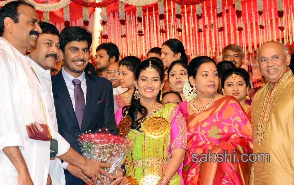 Bhumana Karunakar Reddy Son Abhinay Reddy Wedding Reception32