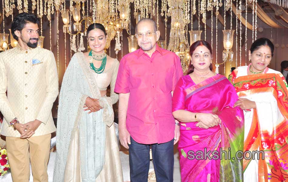 Film producer Aswini Dutts daughter Wedding Reception - Sakshi41