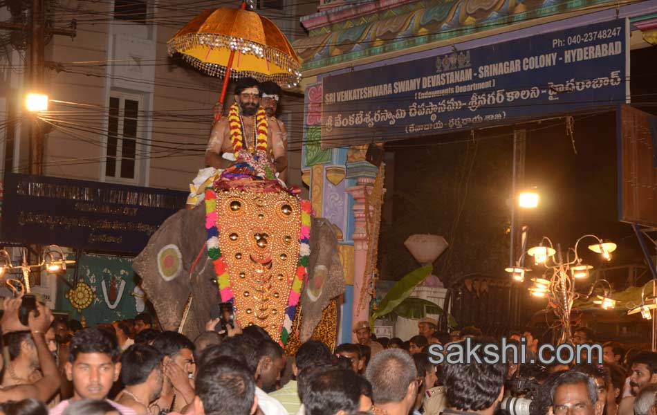 Gajarohanam in Srinagar Colony Ayyappa Temple6